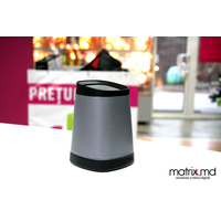 Boxe F&D W7 Portable